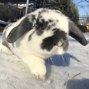 Meet your Posher, Carley